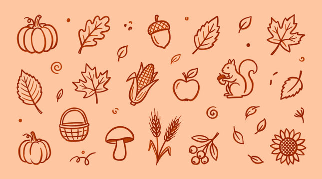 Autumn harvest doodle icons set with pumpkin acorn corn apple squirrel wheat berries sunflower and leaves on orange background
