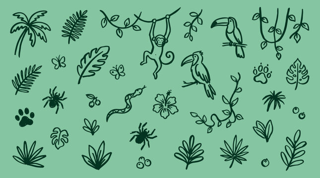Jungle illustration with monkey toucan snake spider palm leaves and tropical plants hand drawn sketch style