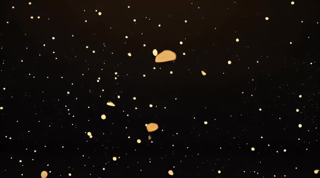 Golden Thank You For Watching End Screen.