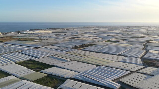 Greenhouses (Sea of Plastic) in Almeria / El Ejido (Spain). Aerial view of agriculture under plastic