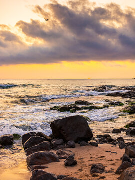sea beach at sunrise. wonderful landscape for summer vacations in europe. dramatic view of orange sky above waves. epic seascape image with rocky coast. bulgaria travel background with water splash
