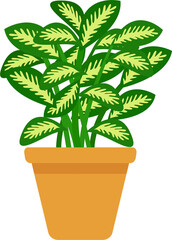 Fototapeta premium Variegated Green Houseplant in Clay Pot Flat Vector Illustration on Isolated Transparent Background