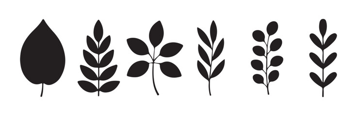 Set of six black botanical vector graphics featuring leaves branches and organic shapes © MST