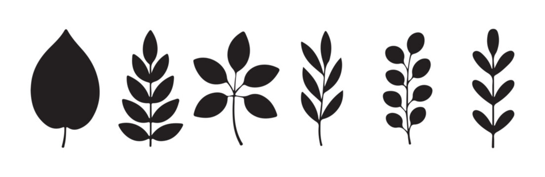 Set of six black botanical vector graphics featuring leaves branches and organic shapes