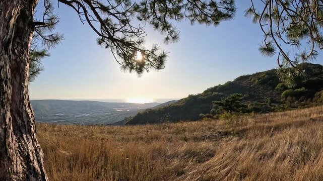 View from the top of the mountain to the city and the sea. The sun is reflected in the water. Slow camera movement through pine branches. Slow motion, wide shot