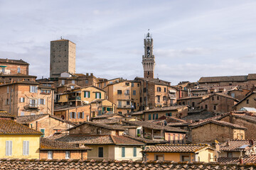 Obraz premium Siena cityscape with medieval Torre del Mangia and historic buildings, Italy.
