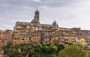 Obraz premium Siena Cathedral towering above historic buildings in Tuscany, Italy.