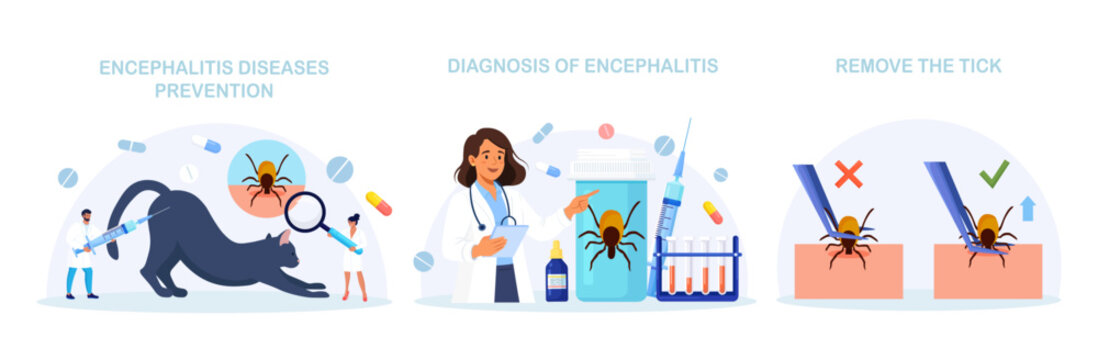 Set of Prevention of Lyme, Encephalitis Diseases. Removing Encephalitis Ticks. Parasite Carrying Disease. First Aid with Infections Transmitted by Mites. Tick attached to skin, removed with tweezers