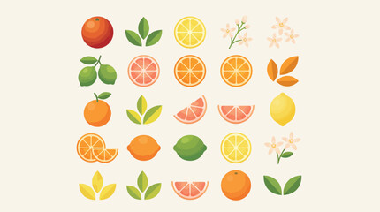 Obraz premium A vibrant collection of citrus fruits and leaves.