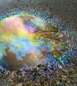 Reflection of trees in a puddle with rainbow-colored gasoline stains. Environmental pollution concept.