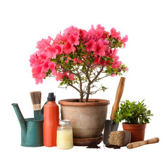 Naklejka premium Pink flowering bonsai tree with gardening tools and supplies on white background