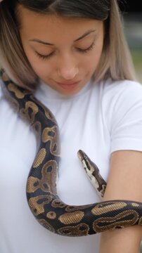 Young woman holding python snake portrait closeup, wild nature concept