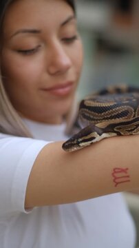 Young woman holding python snake portrait closeup, wild nature concept