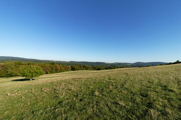 Obraz premium Expansive green meadow under a clear blue sky with distant rolling hills and trees