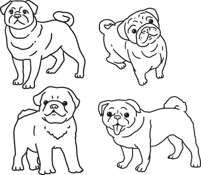 pug minimalistic simple outline drawing children coloring page mops outline social media graphic veterinary clinics pet salons exhibitions grooming dog products set characters cute pet sketch doodle
