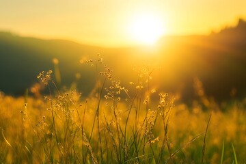 Fototapeta premium Beautiful sunrise over mountain landscape with meadow and sunray shining through bright golden bokeh