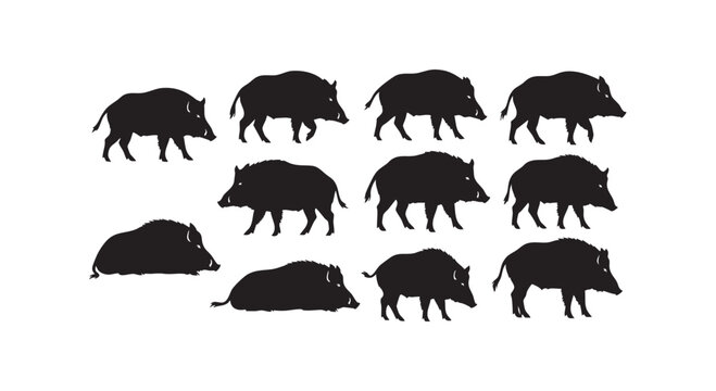 Wild boar silhouette collection vector illustration pig hog animal farm wildlife background design sign symbol.