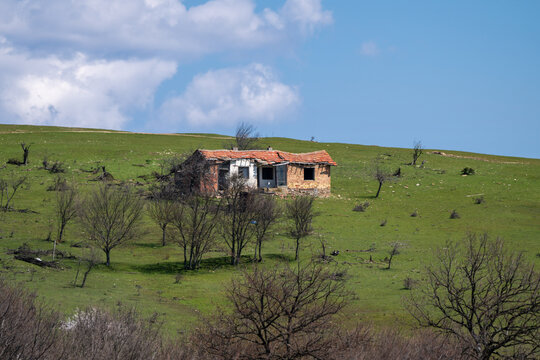 an abandoned, ruined house with a damaged red tile roof sitting on a vibrant green grassy hillside with scattered bare trees under a blue sky with fluffy clouds in bulgaria.