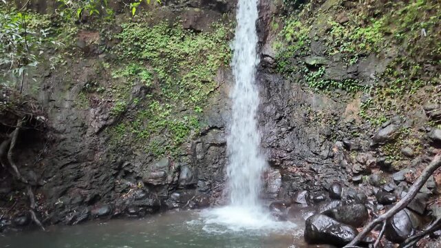 Tall Waterfall Cascading into Pool in Rocky Gorge Mauritius 4K | Osmo Pocket 3