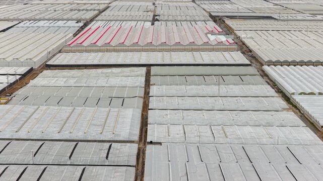 Greenhouses (Sea of Plastic) in Almeria / El Ejido (Spain). Aerial view of agriculture under plastic
