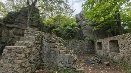 Ruiny średniowiecznego zamku  © WalDec