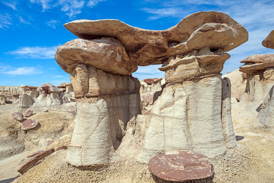 Capstone Tunnel in a Mudstone Canyon