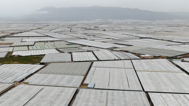 Greenhouses (Sea of Plastic) in Almeria / El Ejido (Spain). Aerial view of agriculture under plastic