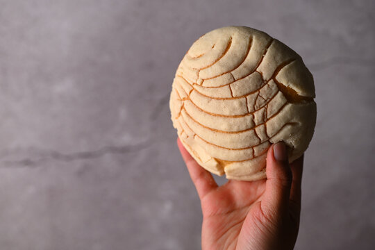 Hand holding a freshly baked pan dulce Mexicano, Concha bread. Food photography low key with copy space