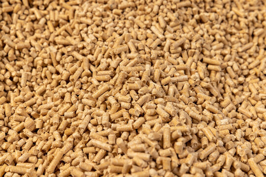 a large number of cylindrical fuel pellets made from sawdust of spruce or pine trees, the pellets are used both for indoor heating and for bedding for pets, wood pellets