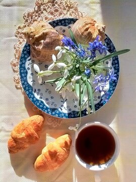 sunny still life with coffee and croissants and a plate with a bouquet of spring flowers and two rapan shells, top view