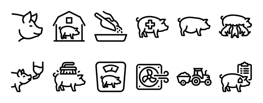 Black line icon set for pig farming and swine husbandry showing feeding, veterinary care, weighing, breeding, and farm equipment in a simple minimalist vector style