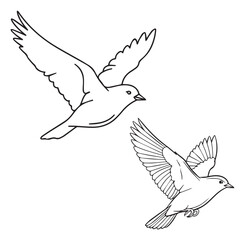 Fototapeta premium Two birds in flight, black outline, white background. vector sparrow drawing.