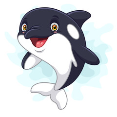 Fototapeta premium Cartoon killer whale on white background