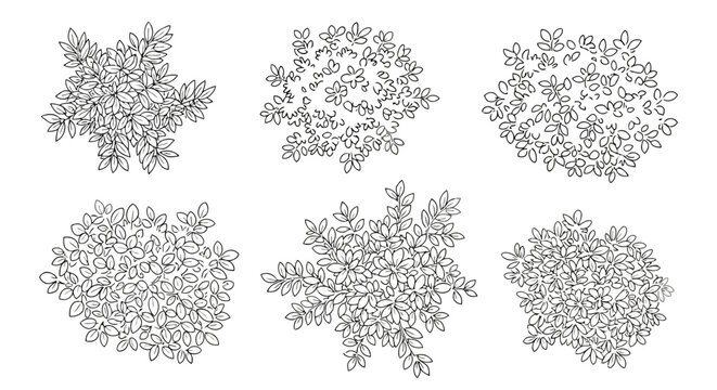 Set of handdrawn top view bushes and shrubs for landscape design