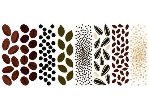 An array of grains and seeds: coffee beans, black peppercorns, pumpkin seeds, poppy seeds, sunflower seeds, sesame seeds, and quinoa