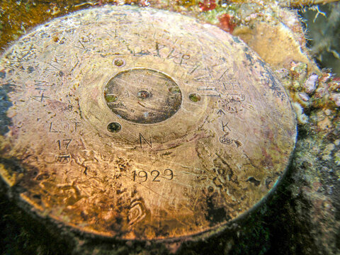 WWII Artillery Shell Covered in Marine Growth on Underwater Shipwreck