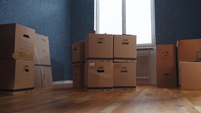 Moving Boxes Low Angle | Empty Apartment Dolly Shot