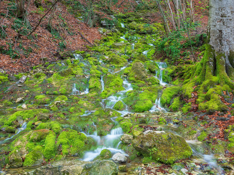 Ein Wildbach flie&szlig;t &uuml;ber Kalktuff-Terrassen mit Moospolstern, Schw&auml;bische Alb, Baden-W&uuml;rttemberg, Deutschland