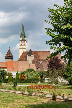 Trees and bushes in a park with a clock tower in the background, beneath the open sky across Soala, Romania