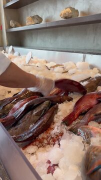 Close-up of fresh Red Sea fish on ice at a seafood market, Saudi Arabia.