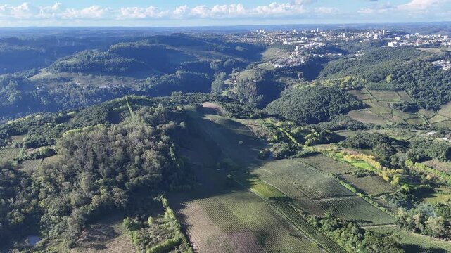 Drone mostra vin&iacute;cola no Vale dos Vinhedos com cultivo de uvas em linhas organizadas destacando produ&ccedil;&atilde;o agr&iacute;cola e turismo no sul do Brasil