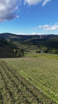 Vista a&eacute;rea de &aacute;rea vin&iacute;cola em Bento Gon&ccedil;alves mostrando planta&ccedil;&otilde;es de uva e paisagem natural da Serra Ga&uacute;cha