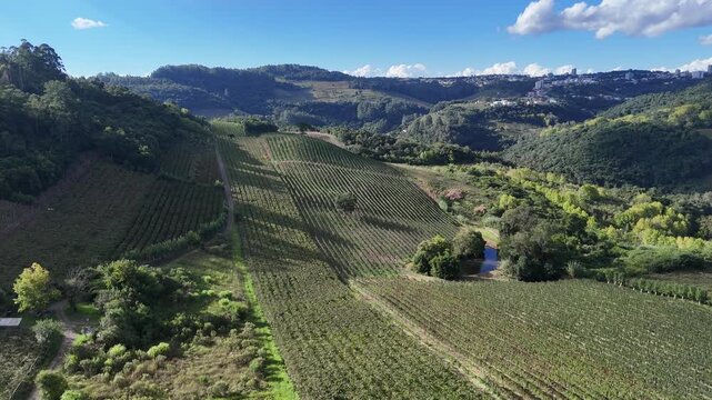 Imagem a&eacute;rea de vinhedo em Bento Gon&ccedil;alves cercado por montanhas e vegeta&ccedil;&atilde;o, representando enoturismo e agricultura no Rio Grande do Sul