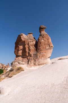 vertical photography of camel-shaped fairy chimneys in the Devrent Valley in Cappadicia, T&uuml;rkiye on an August day.