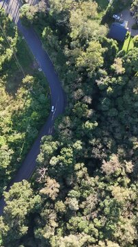 Vis&atilde;o a&eacute;rea vertical de estrada sinuosa atravessando floresta densa, com asfalto cercado por &aacute;rvores e vegeta&ccedil;&atilde;o, destacando transporte, natureza e paisagem preservada.