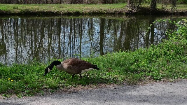 This is a picturesque park of historical and natural significance located in the state of New Jersey.