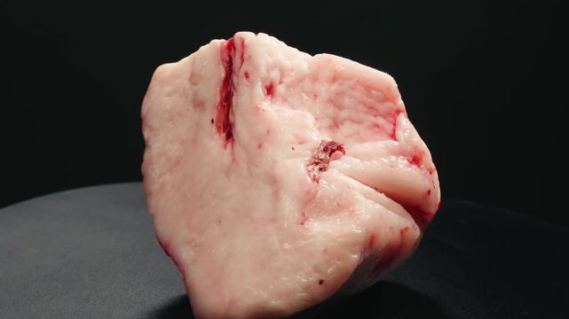 Raw lamb sheep fat tail fat on wooden board, close up of middle eastern pork or lamb dish. Rotating macro meat. 