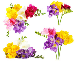 Naklejka premium Beautiful freesia flowers isolated on white, set