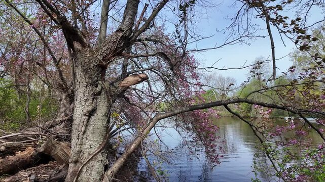 This is a picturesque park of historical and natural significance located in the state of New Jersey.