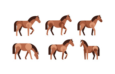 Obraz premium Flat style horse collection: elegant equine pose illustrations